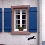 photo - streetart heidelberg philosophenweg cat