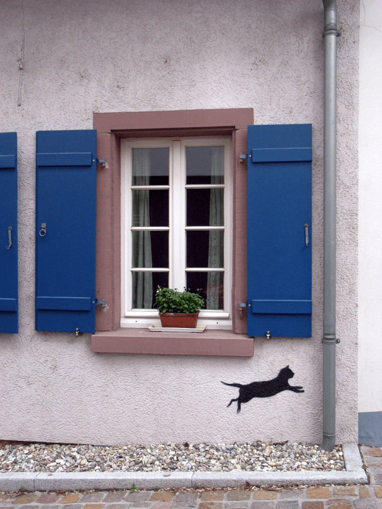 photo - streetart heidelberg philosophenweg cat